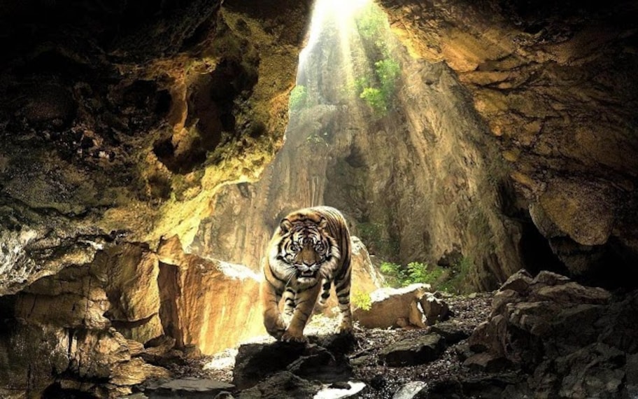 Tiger Cave-5